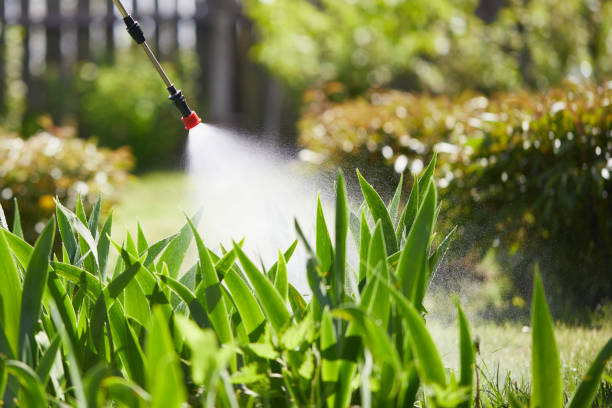 24/7 Emergency Cockroach Control experts in Georgetown, KY