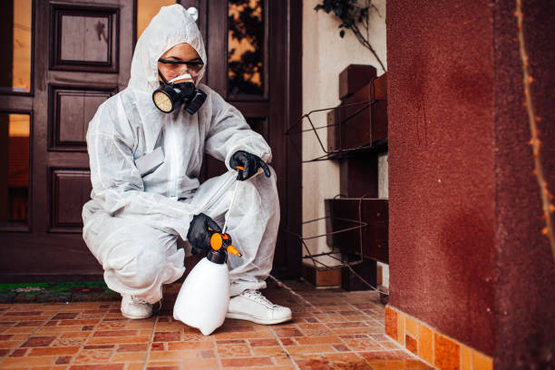 Reliable Cockroach Control contractor in Georgetown, KY by Nex Pest Control